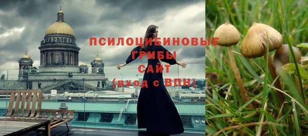 дурь Надым