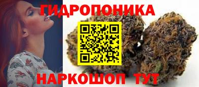 метадон Аргун