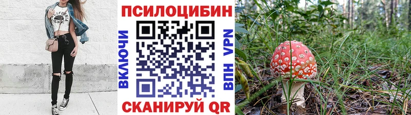 Псилоцибиновые грибы мухоморы  Котлас 