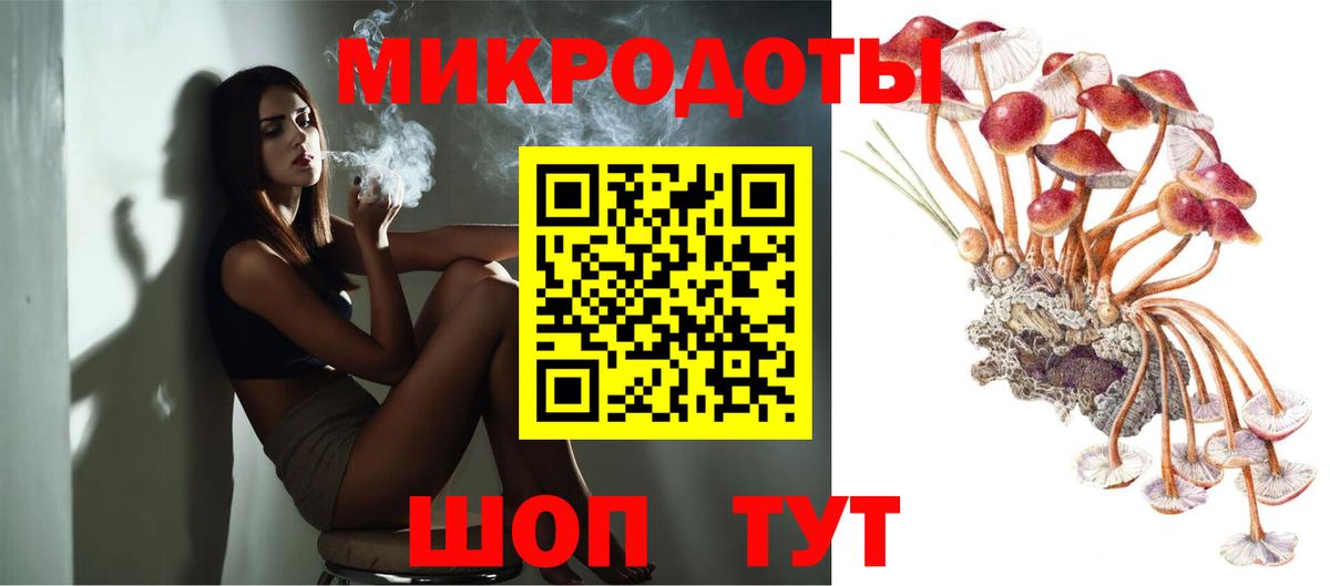 Галлюциногенные грибы Cubensis Котлас
