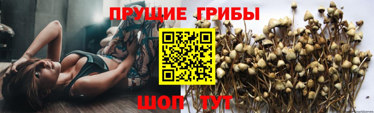 Псилоцибиновые грибы MAGIC MUSHROOMS  Вход с VPN  Котлас 