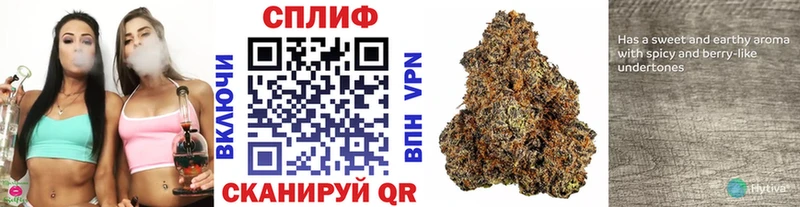 Бошки марихуана VHQ  наркотики  Котлас 